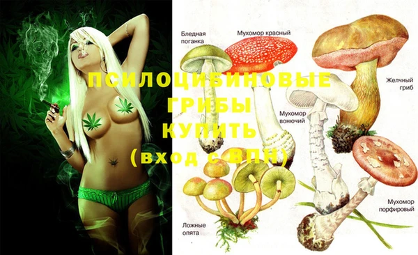 мдпв Баксан