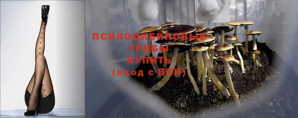 гидра Балахна