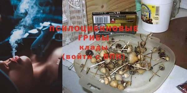 гидра Балахна