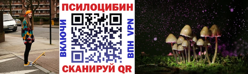 Галлюциногенные грибы мицелий  Чудово 